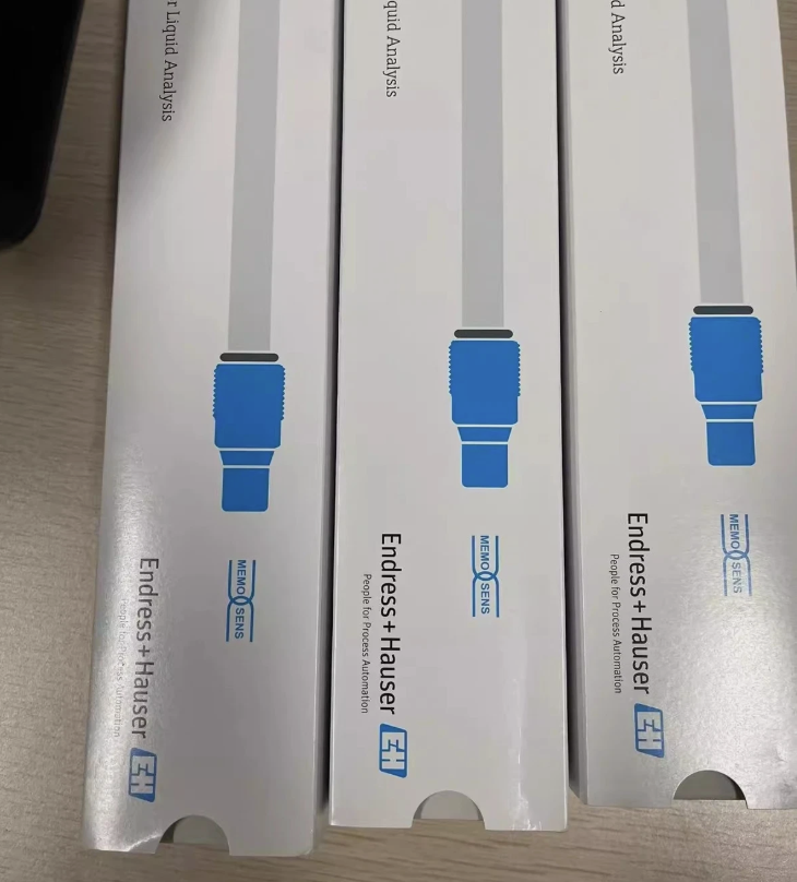 Endress+Hauser FDU95-R1G3A
